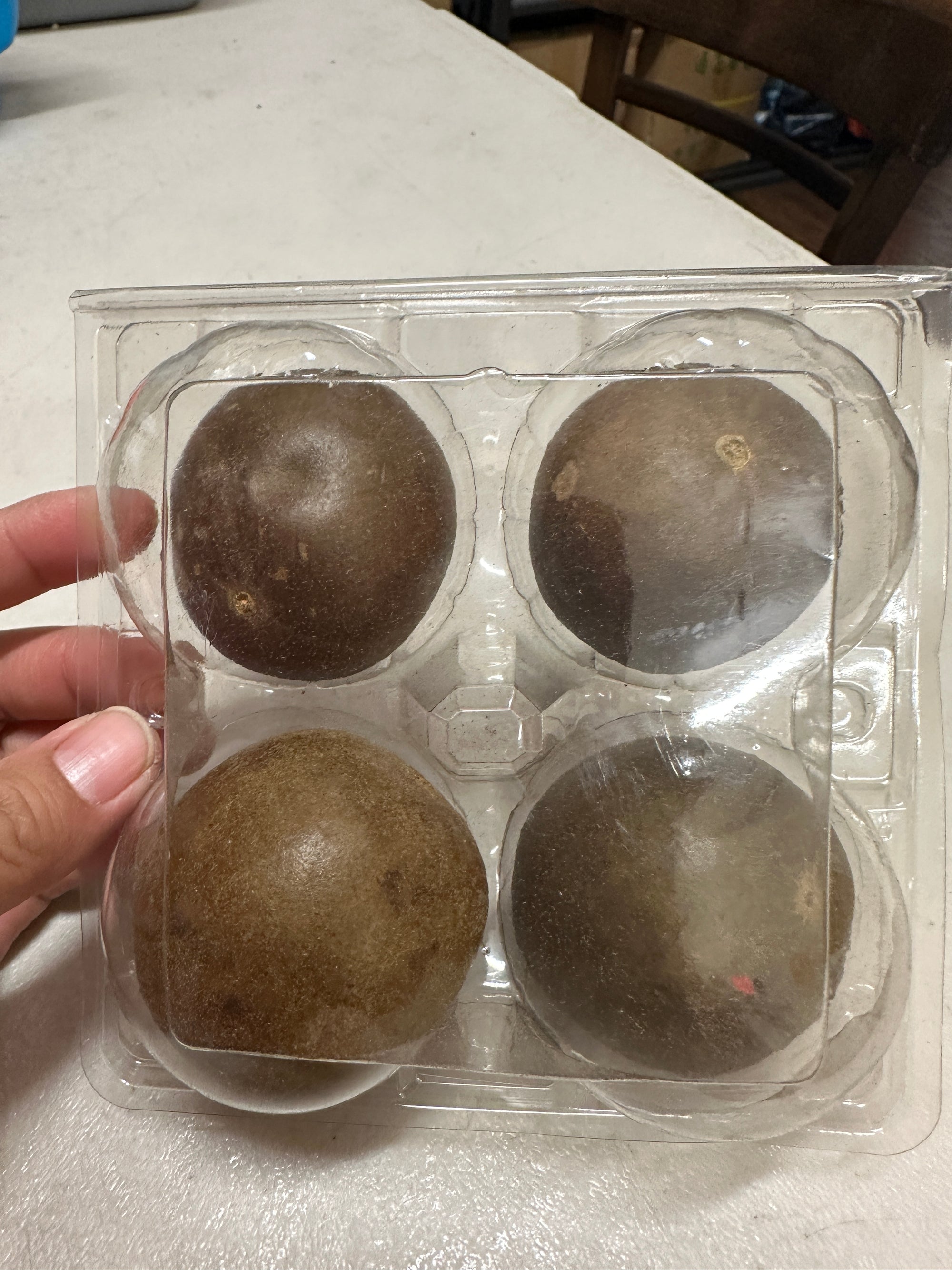 Dried Monk Fruit | 罗汉果