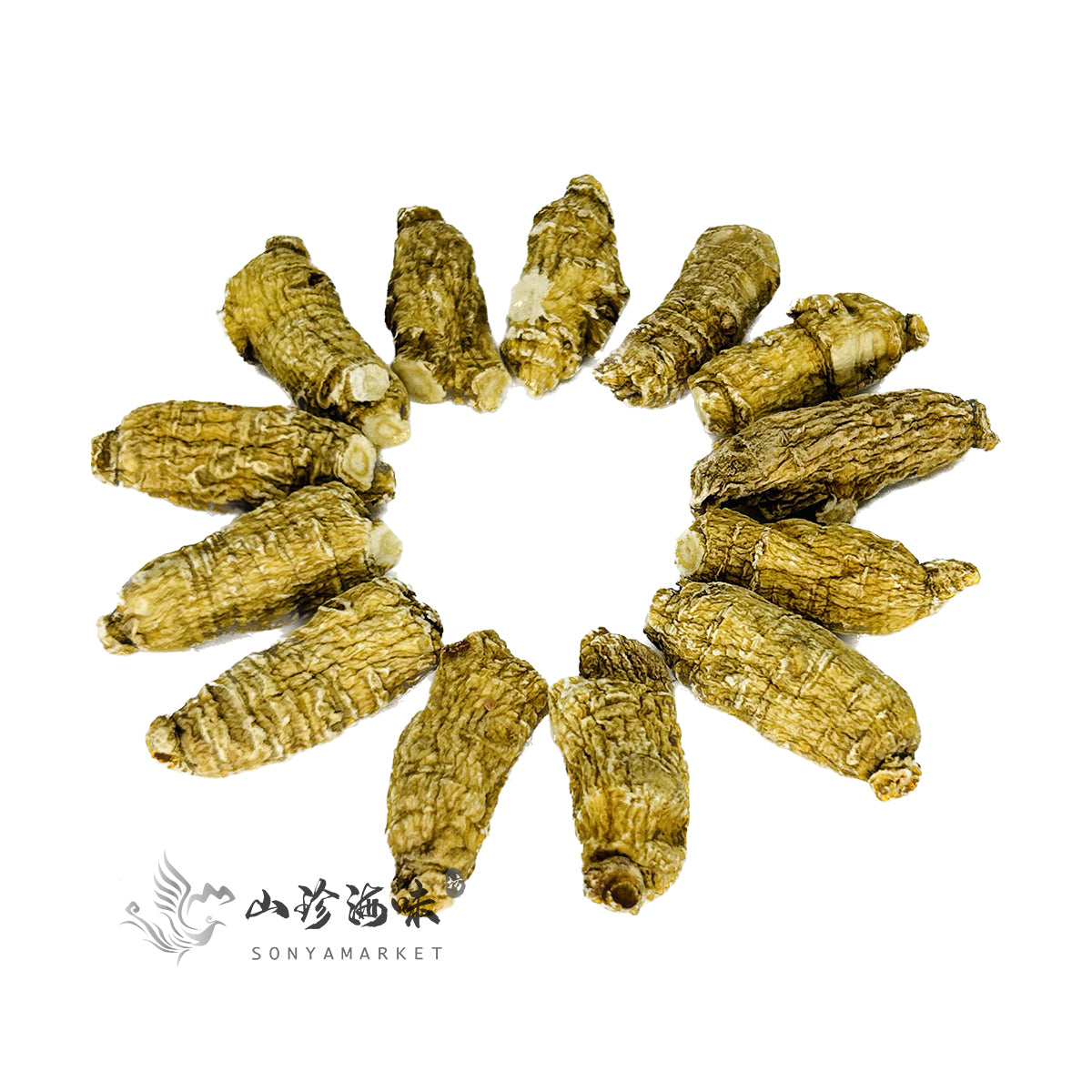 Wisconsin Radix Shaped Ginseng Medium Sized