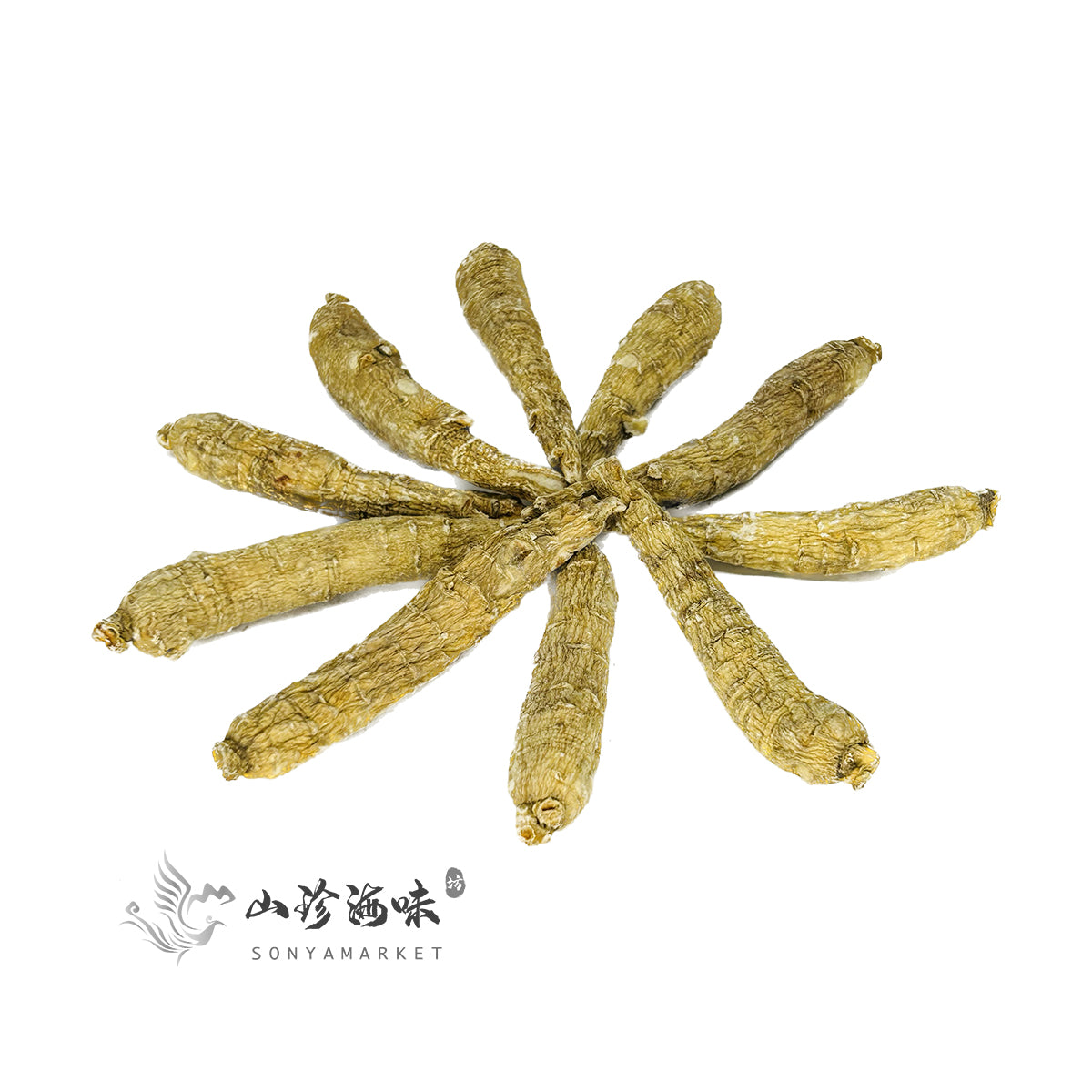 Wisconsin Long Shaped Ginseng Small Sized