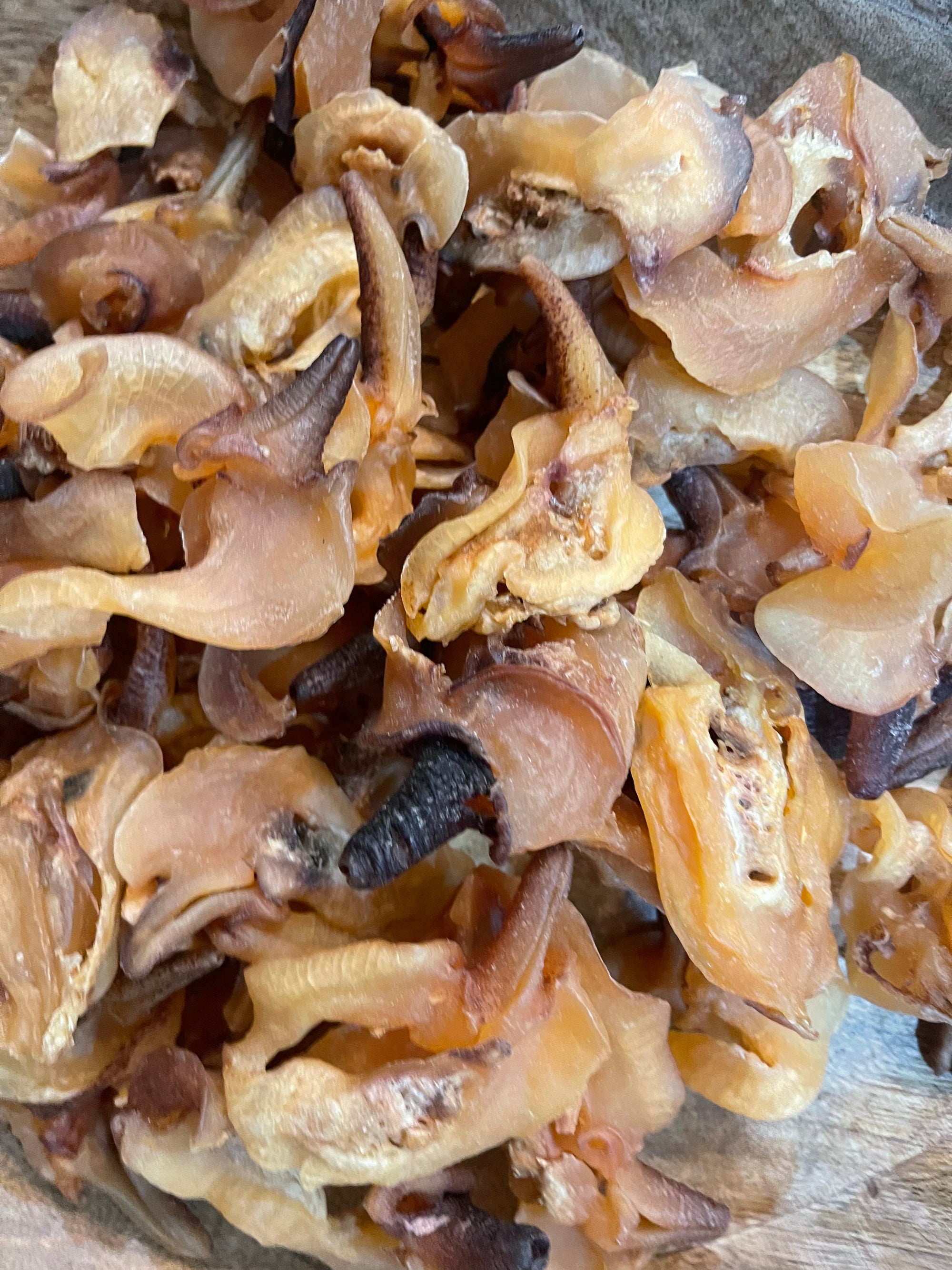 Dried Conch Meat | 螺嘴片