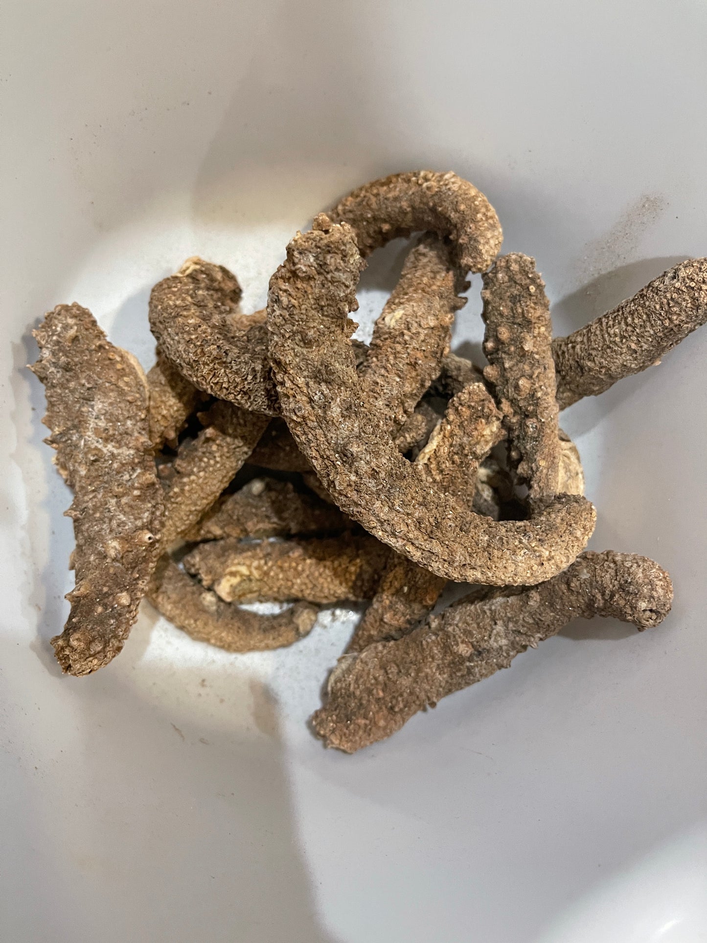 Alaskan Dried Red Sea Cucumber | 阿拉斯加红海参