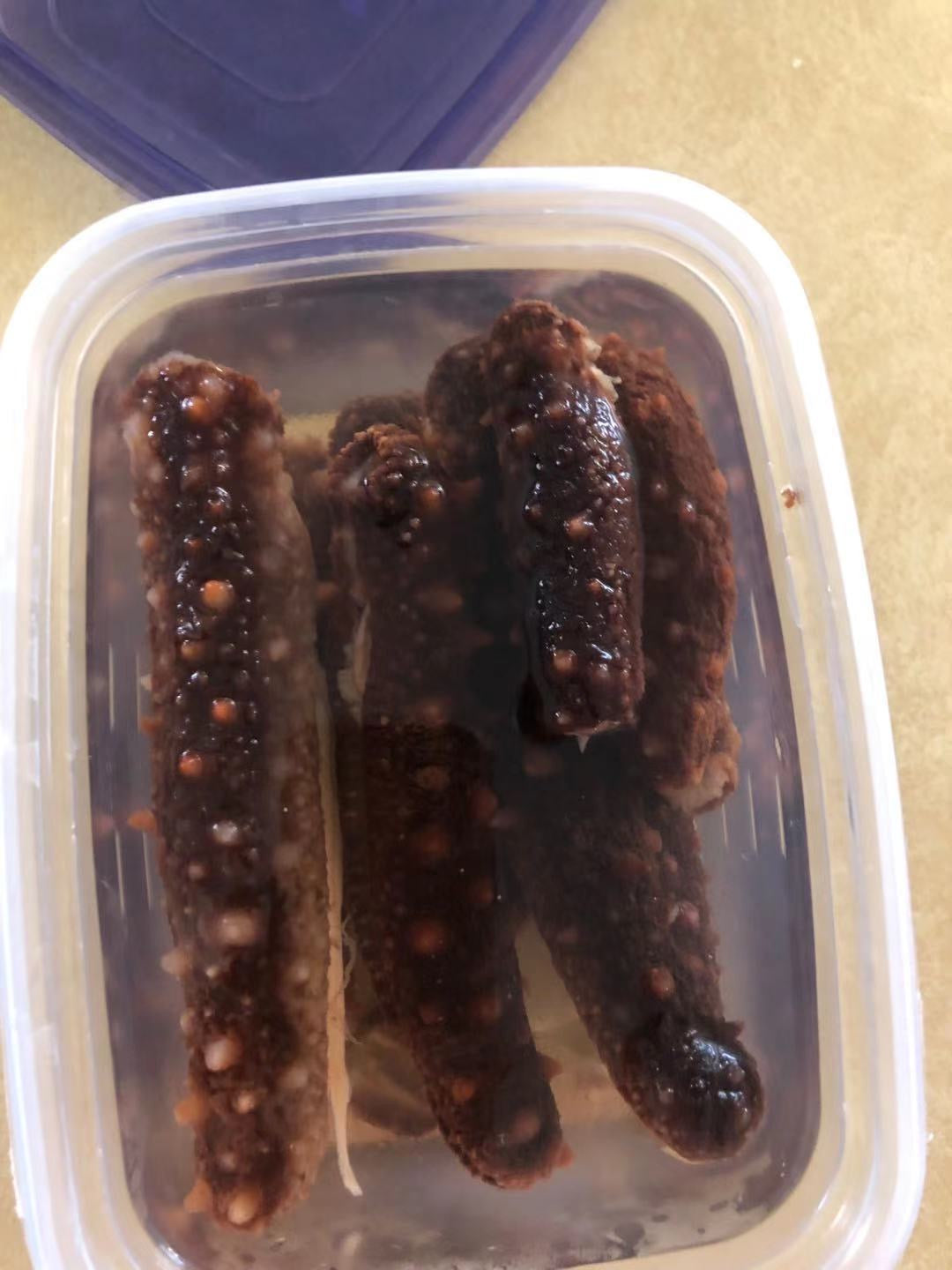 Alaskan Dried Red Sea Cucumber | 阿拉斯加红海参