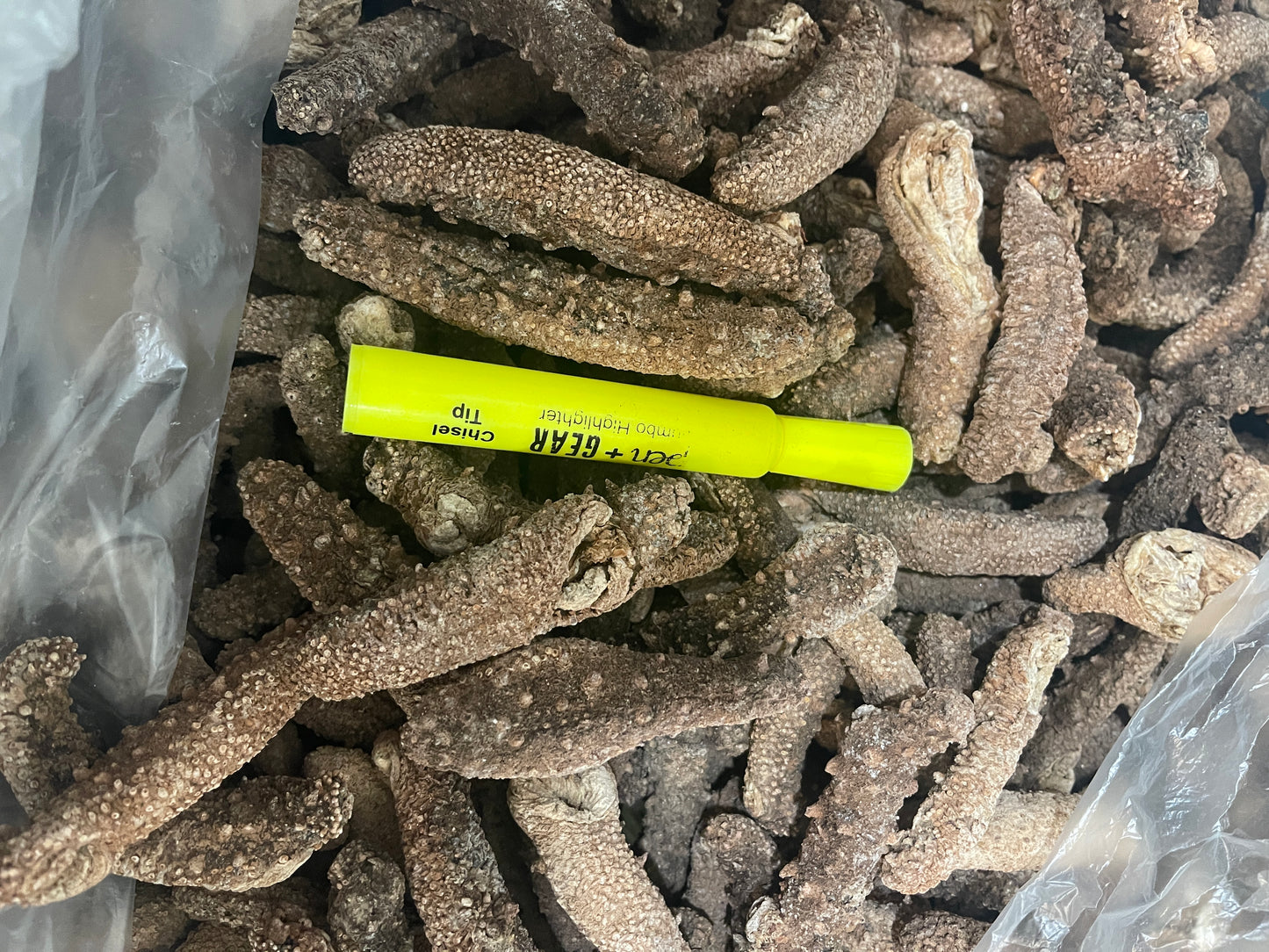 Alaskan Dried Red Sea Cucumber | 阿拉斯加红海参
