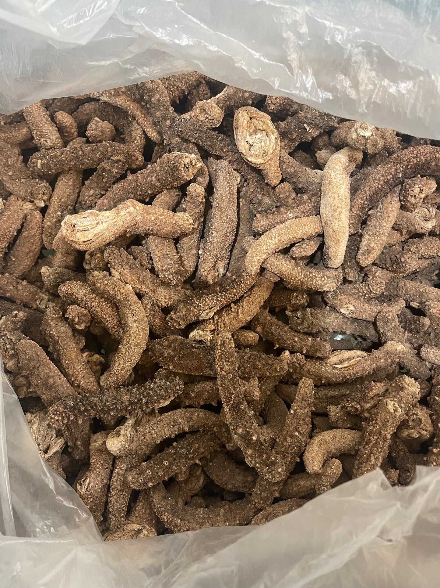 Alaskan Dried Red Sea Cucumber | 阿拉斯加红海参