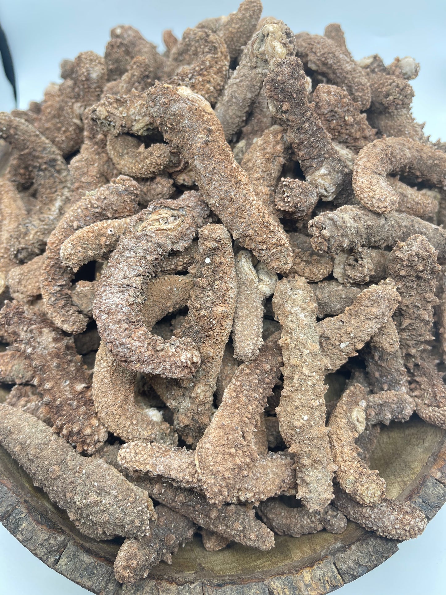 Alaskan Dried Red Sea Cucumber | 阿拉斯加红海参