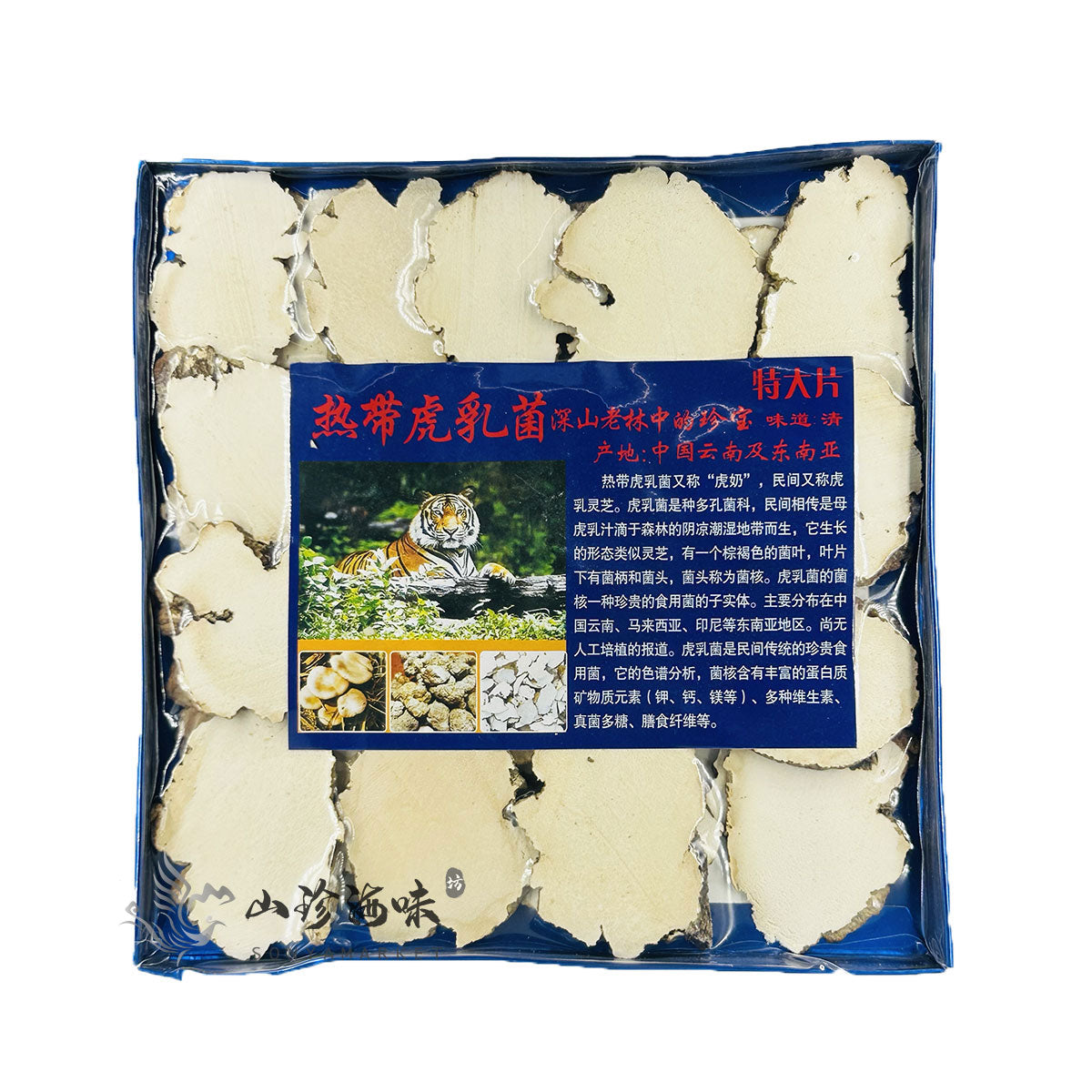 Ganoderma Mushroom