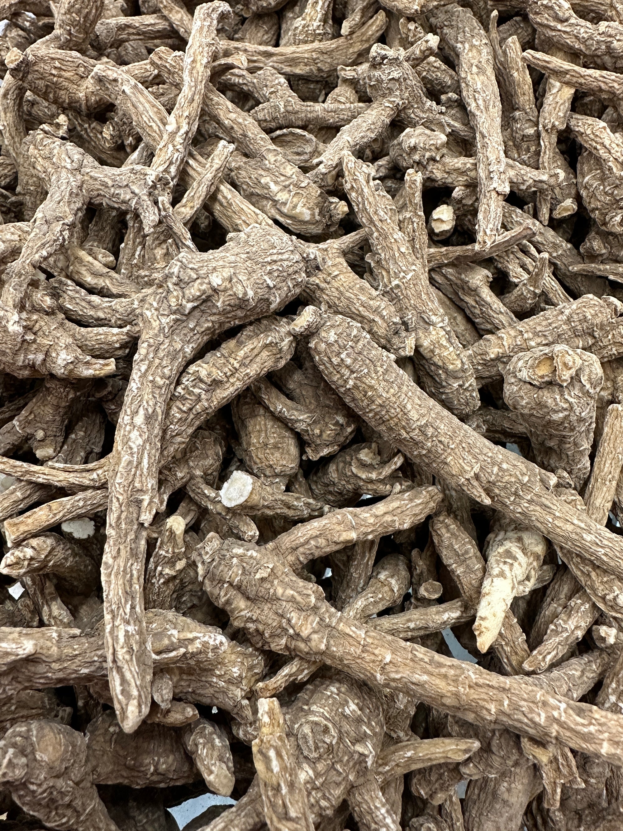 美国威斯康星州花旗参