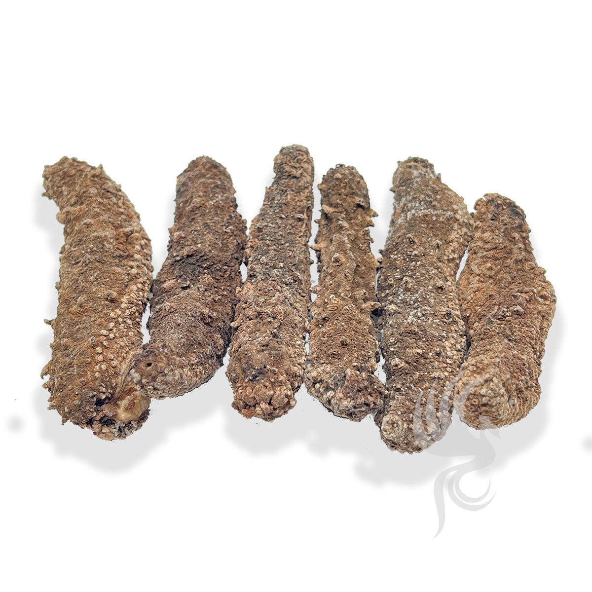 Alaskan Dried Red Sea Cucumber | 阿拉斯加红海参