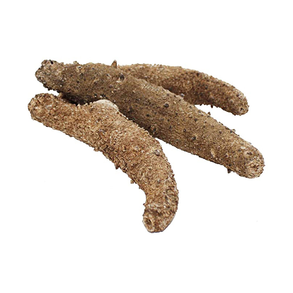 Alaskan Dried Red Sea Cucumber | 阿拉斯加红海参
