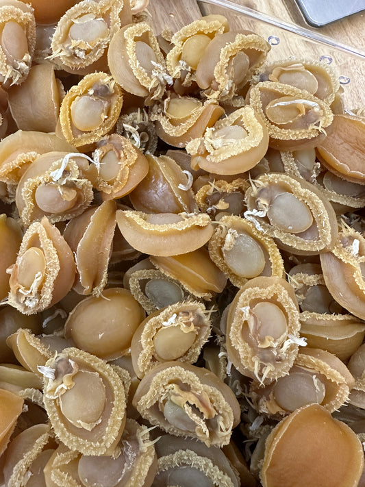 Dried Abalone 80pcs/lb  | 大连干鲍鱼 80 头/磅
