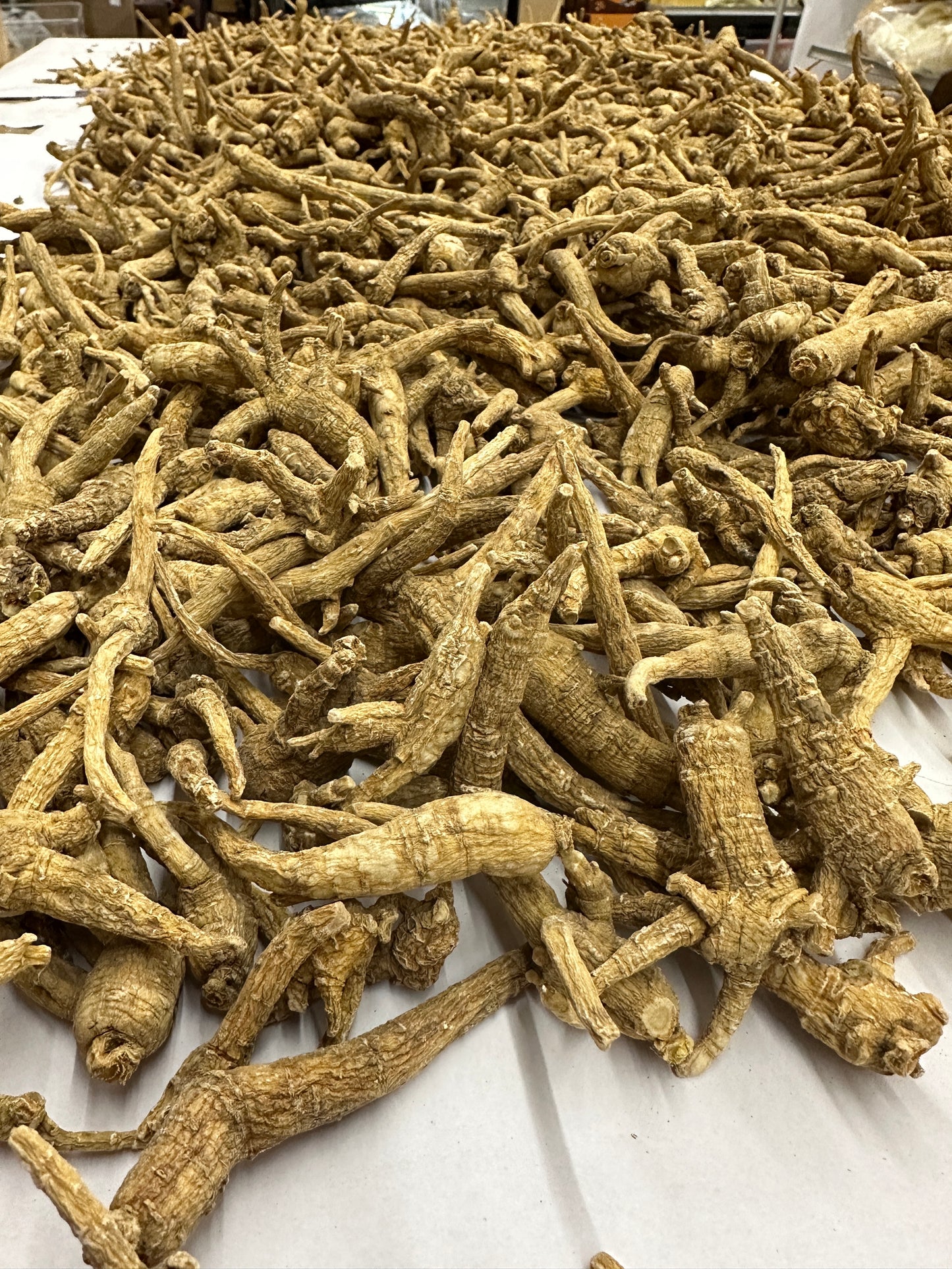 American Ginseng | 美国花旗参