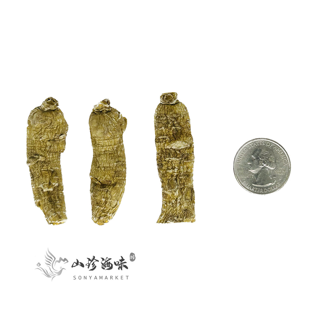Wisconsin Bullet Shaped Ginseng Medium Sized
