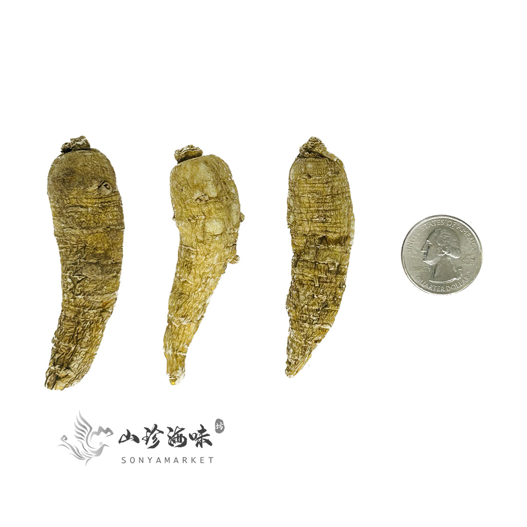 Wisconsin Long Shaped Ginseng Large Sized