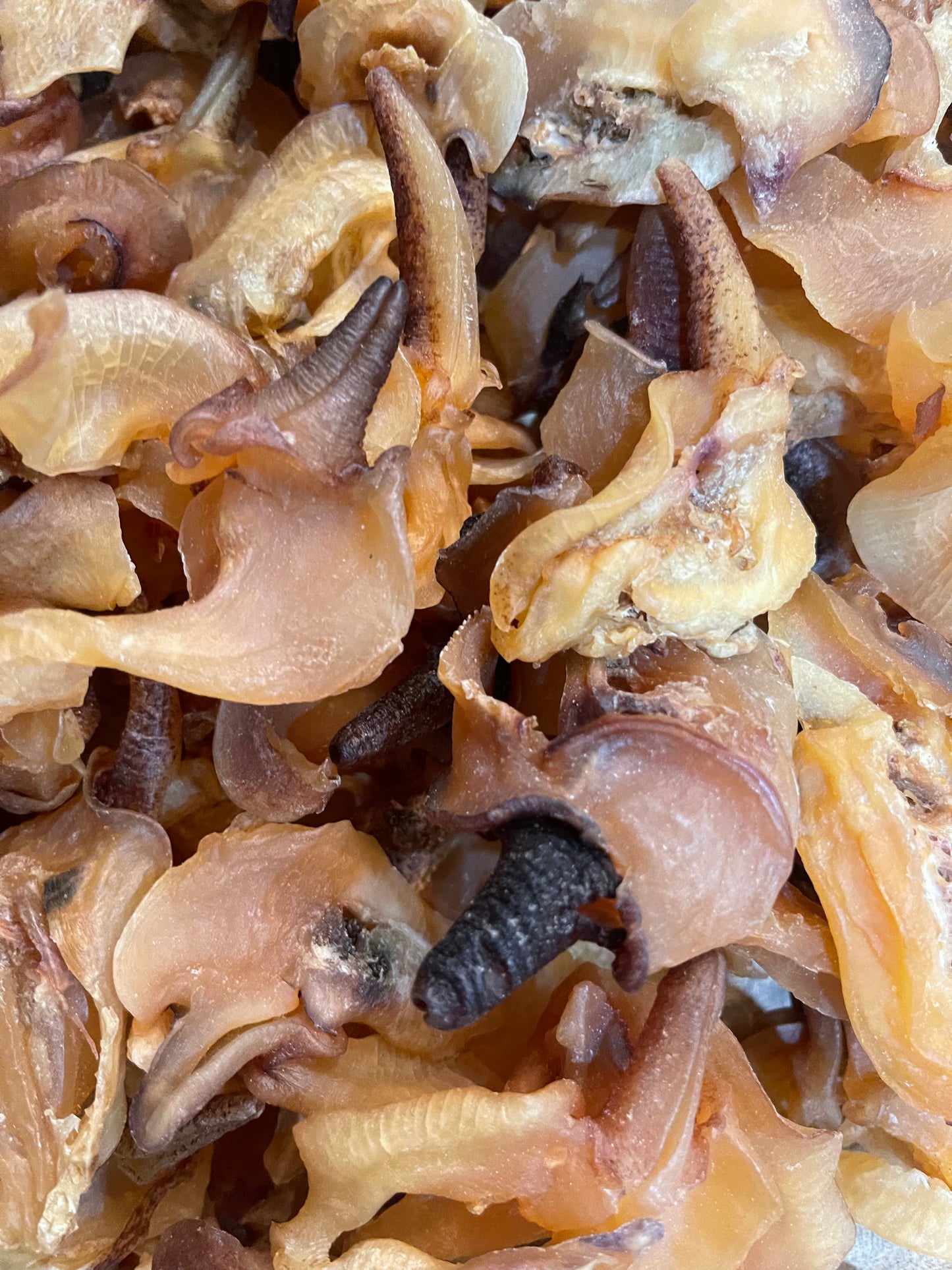Dried Conch Meat | 螺嘴片