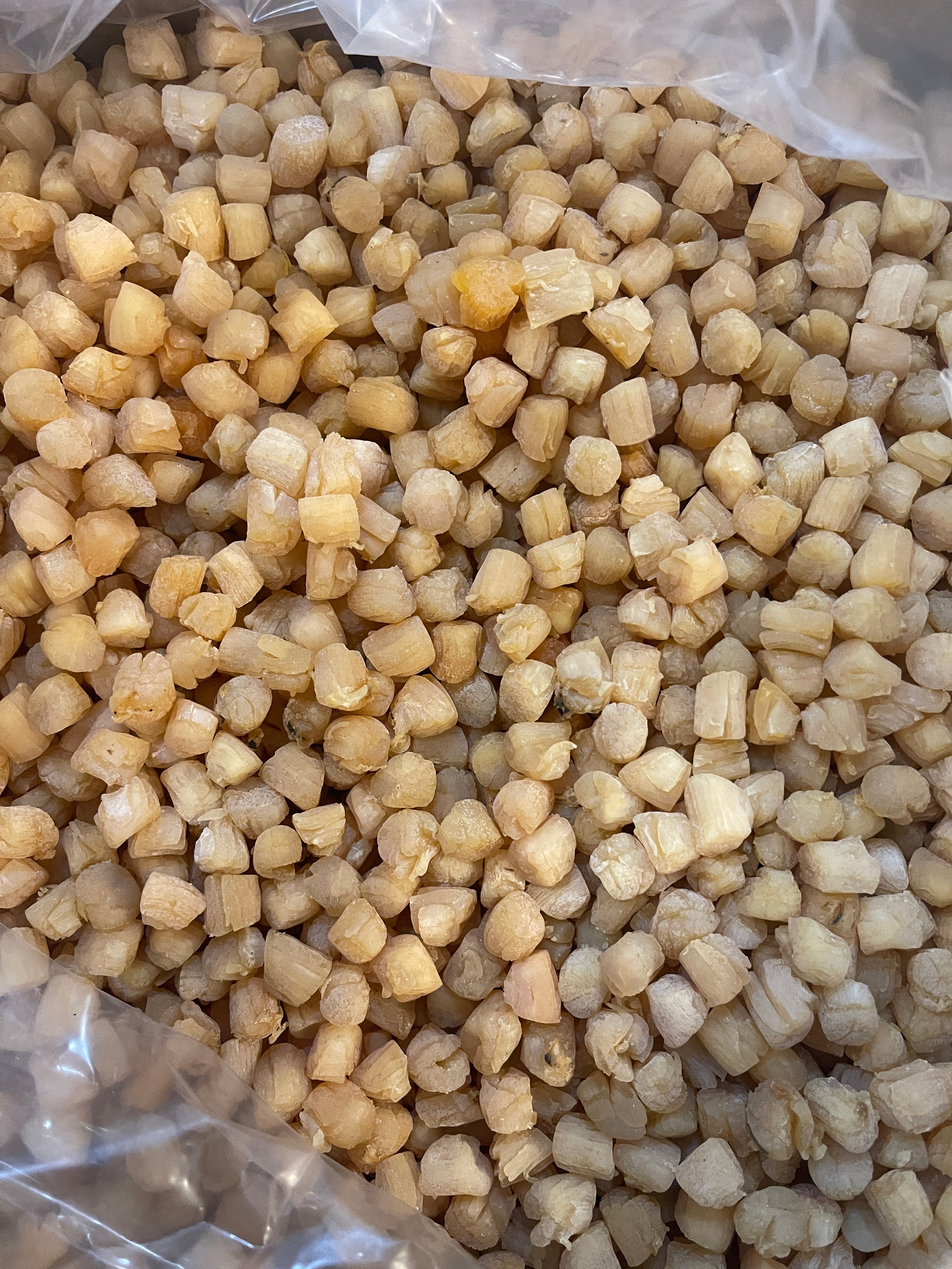 Qing Dao Dried Small Scallops | 青岛小元贝 500 头/磅