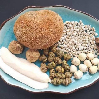 Lion's Mane Mushroom | 猴頭菇