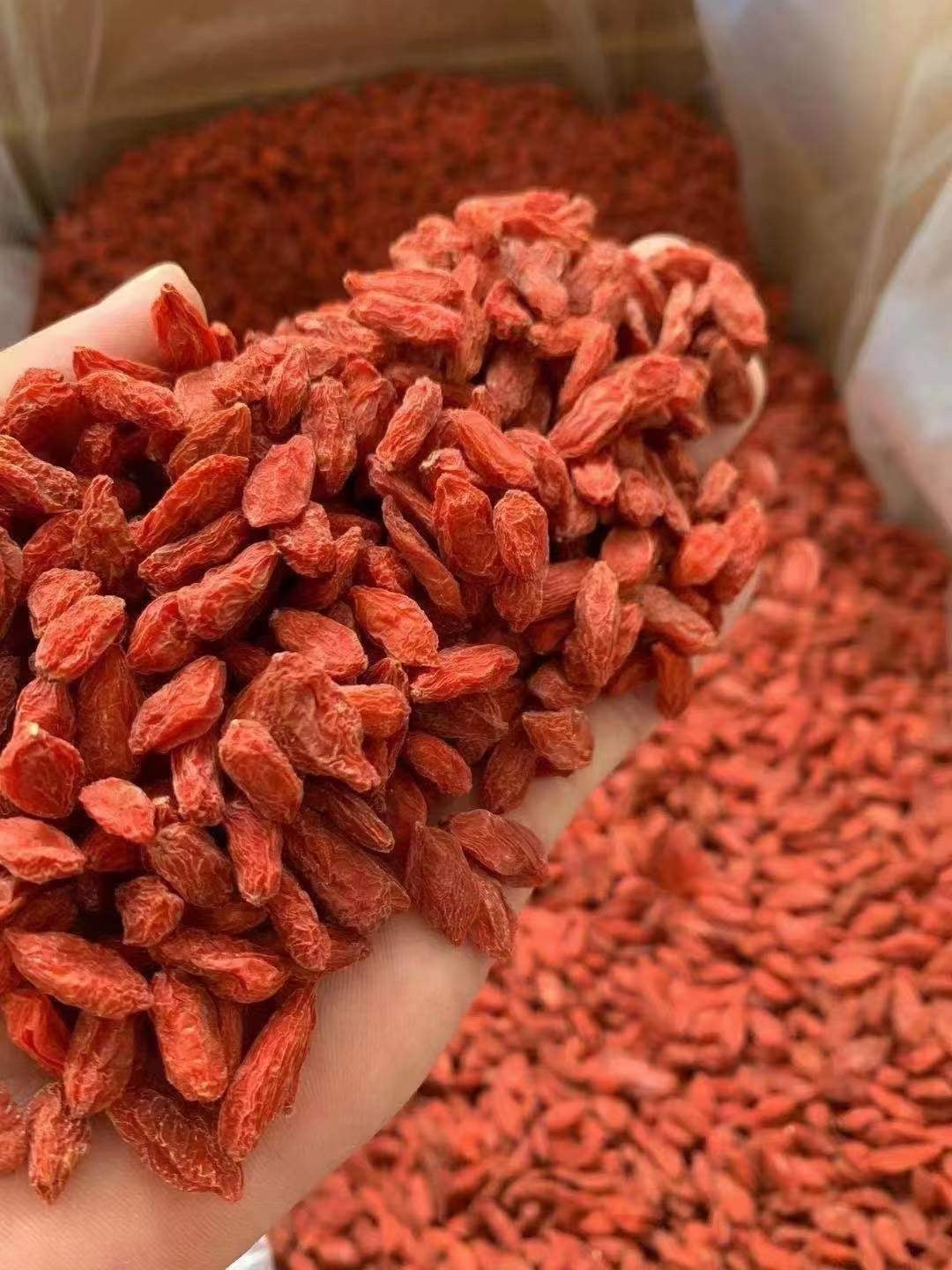 Goji Berries | 枸杞