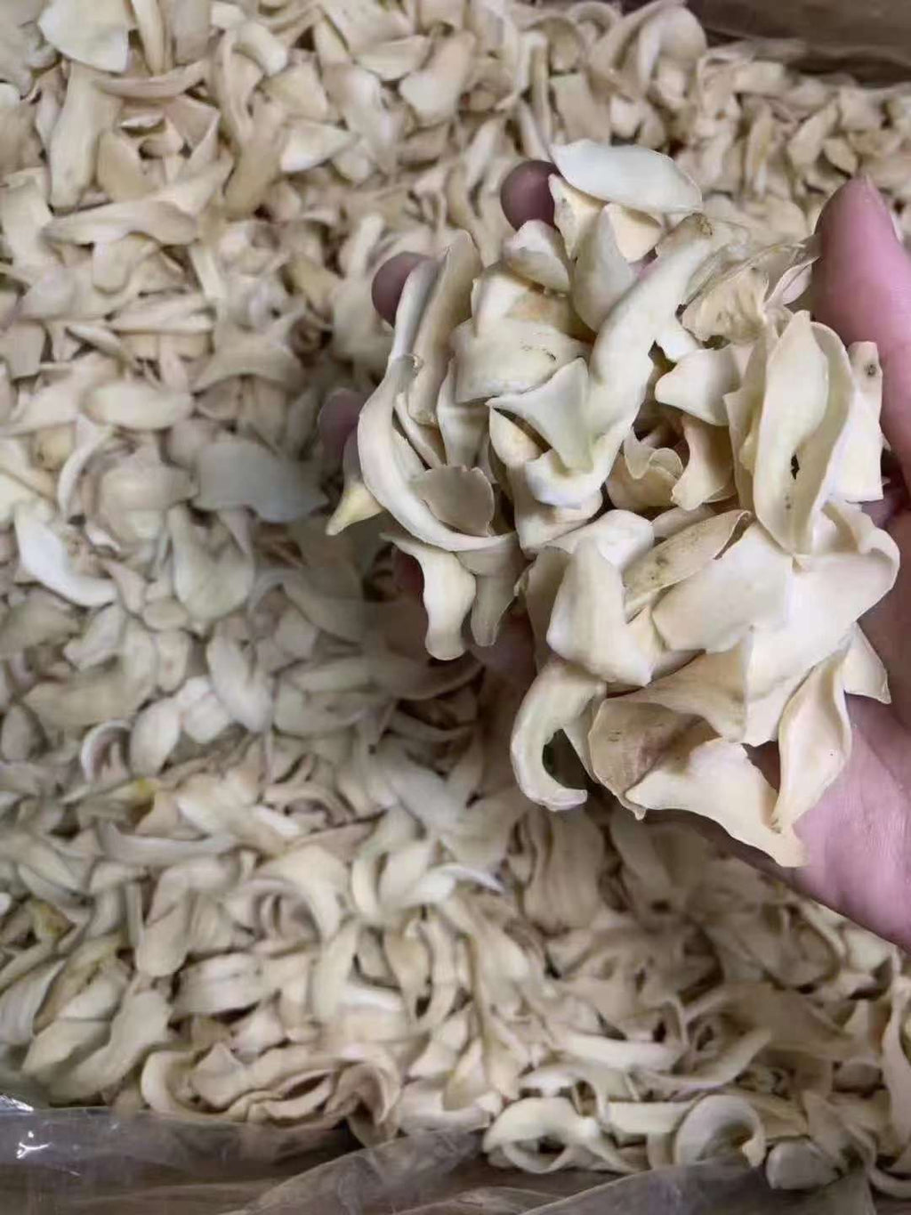 Dried Lily Bulbs | 龙牙大百合