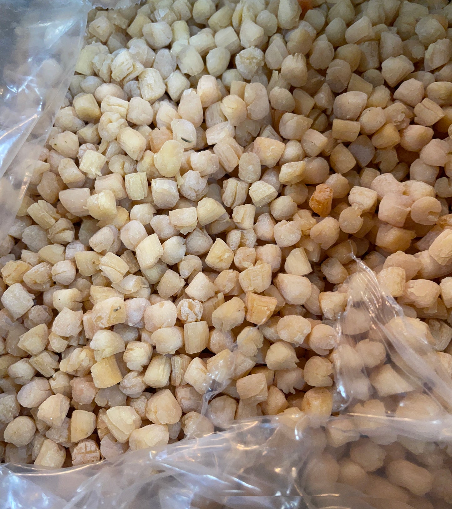 Qing Dao Dried Small Scallops | 青岛小元贝 500 头/磅