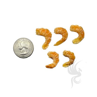 American Dried Shrimp | 美国虾米