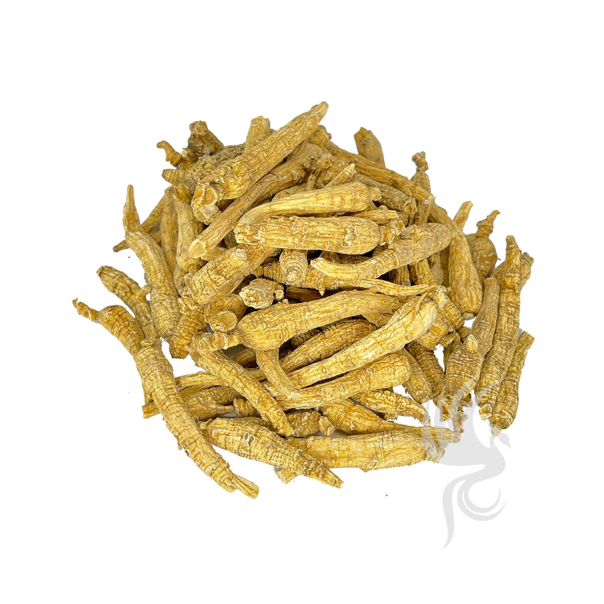 American Ginseng | 美国花旗参