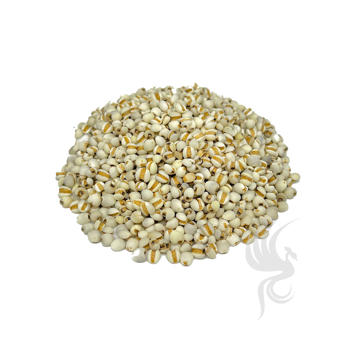 Organic Barley | 有机薏米