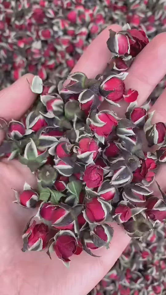 Red Rose | 金边玫瑰