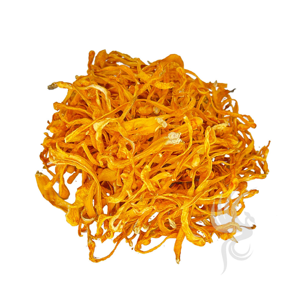 Cordyceps Flower | 虫草花