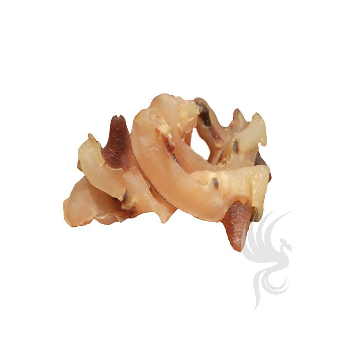 Dried Conch Meat | 螺嘴片