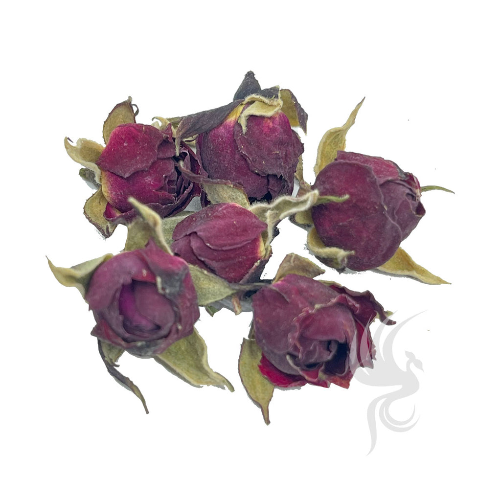 Red Rose | 金边玫瑰