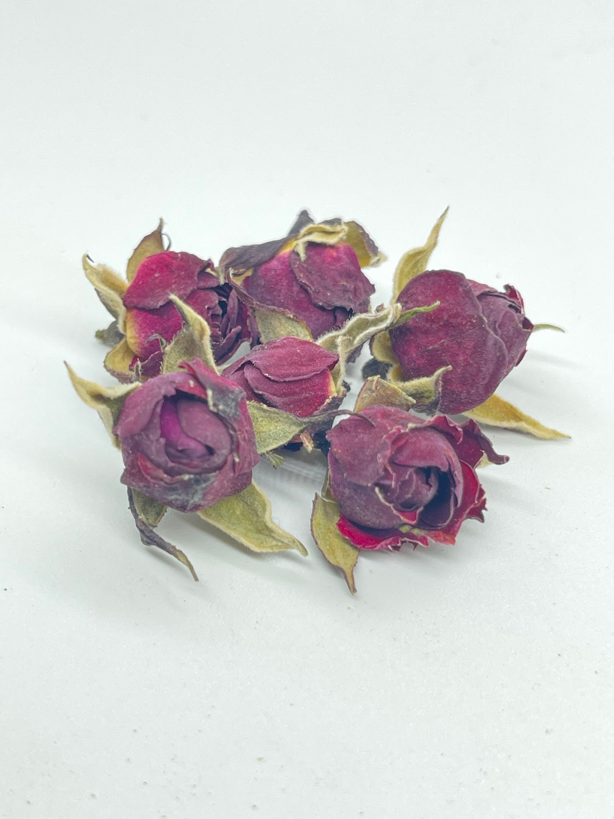 Red Rose | 金边玫瑰