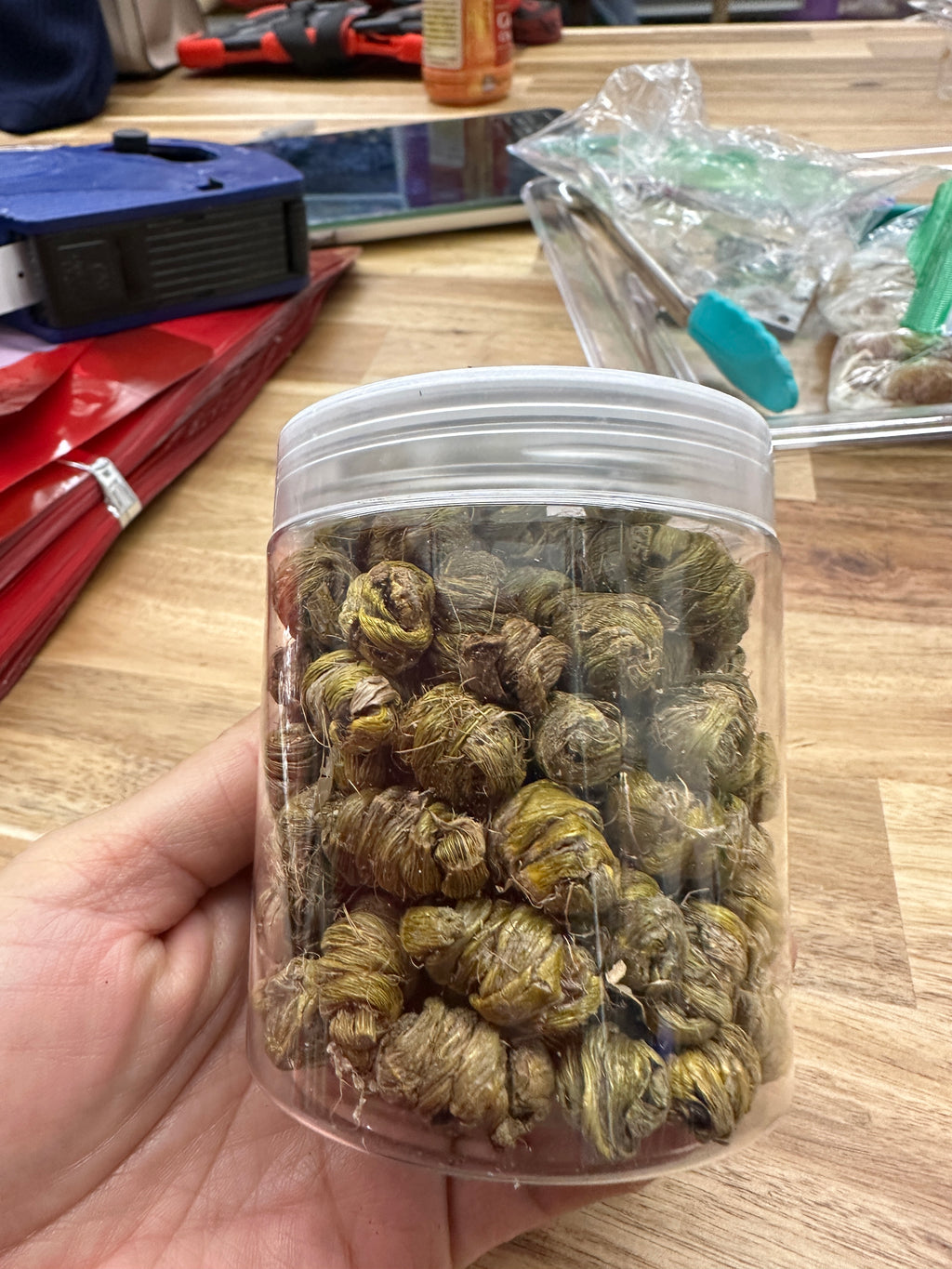 鐵皮石斛 |霍山鐵皮石昊王