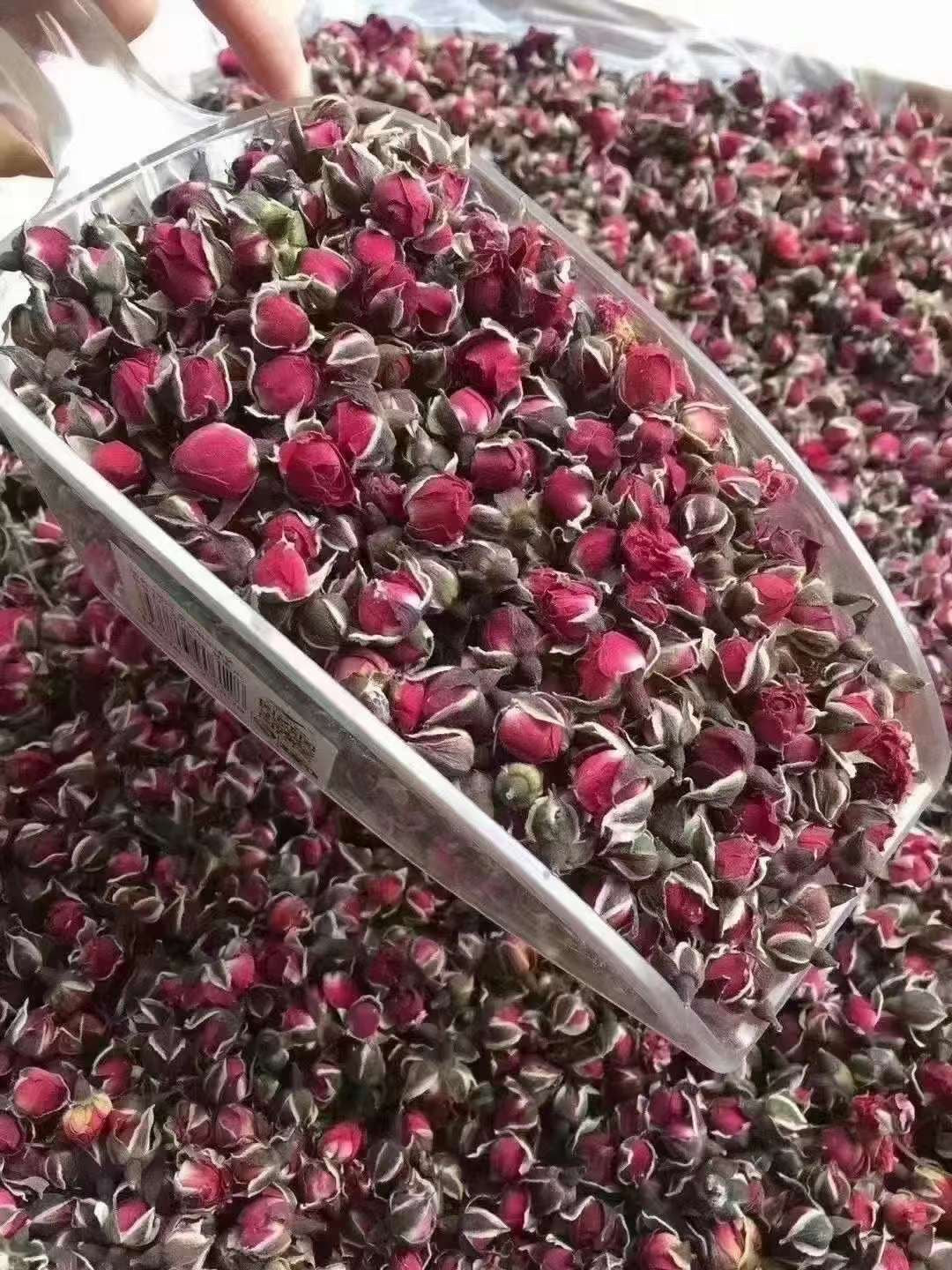 Red Rose | 金边玫瑰