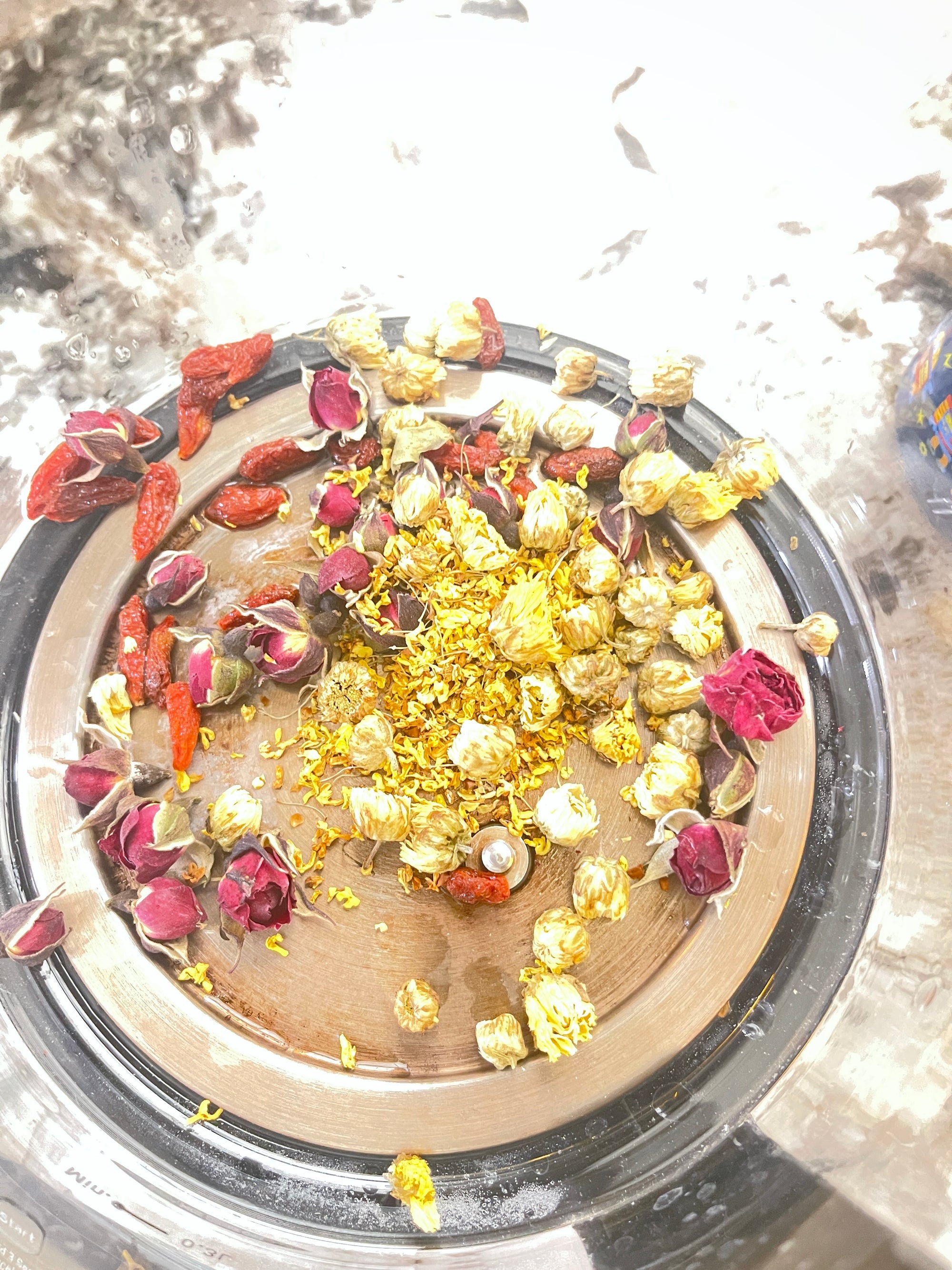 Red Rose | 金边玫瑰