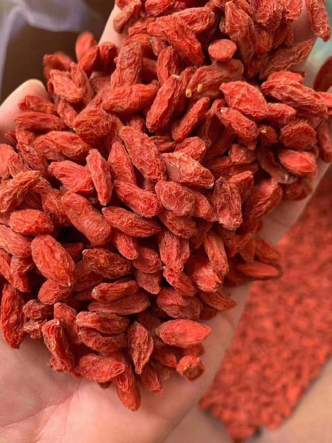 Goji Berries | 枸杞