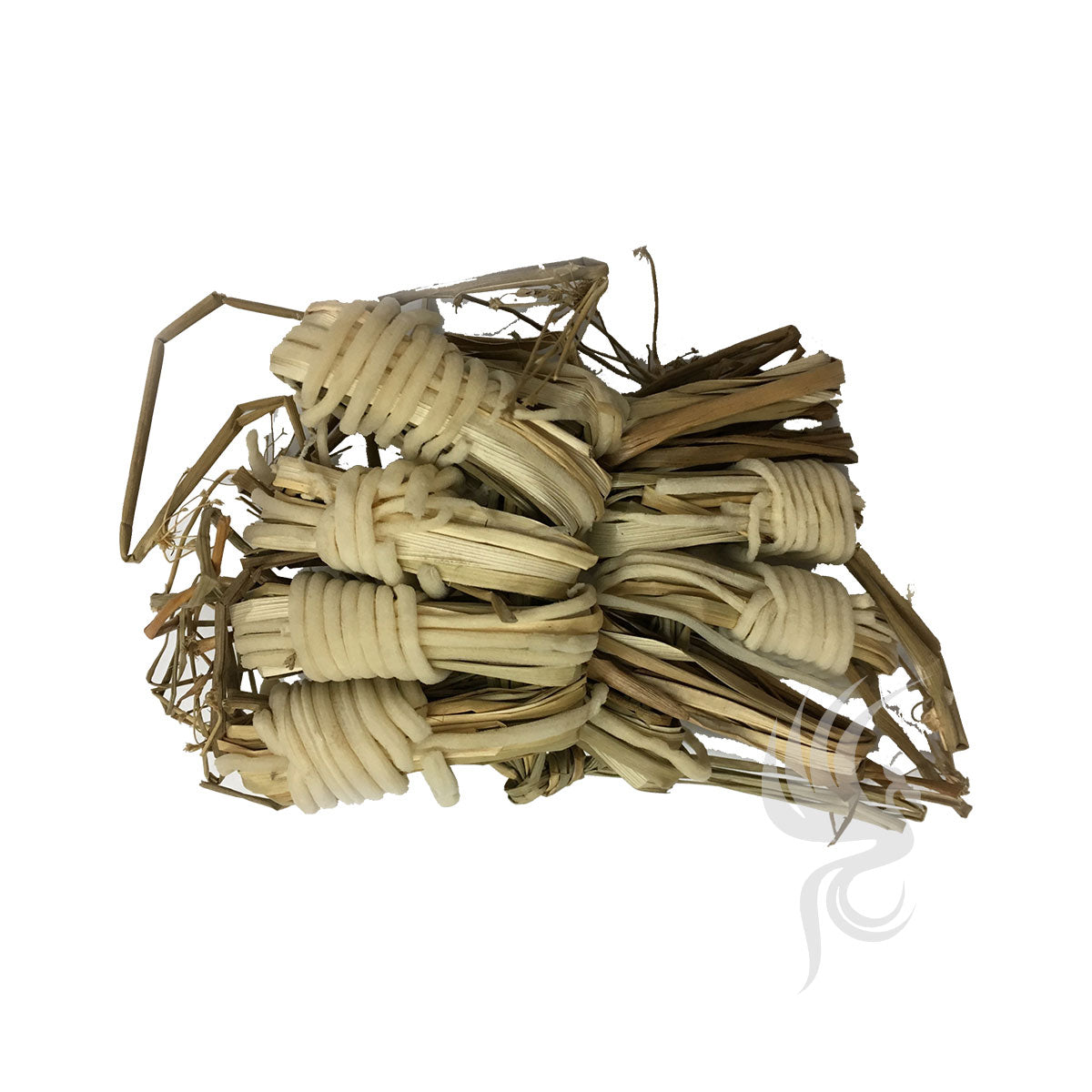 Junci Medulla | 灯心草