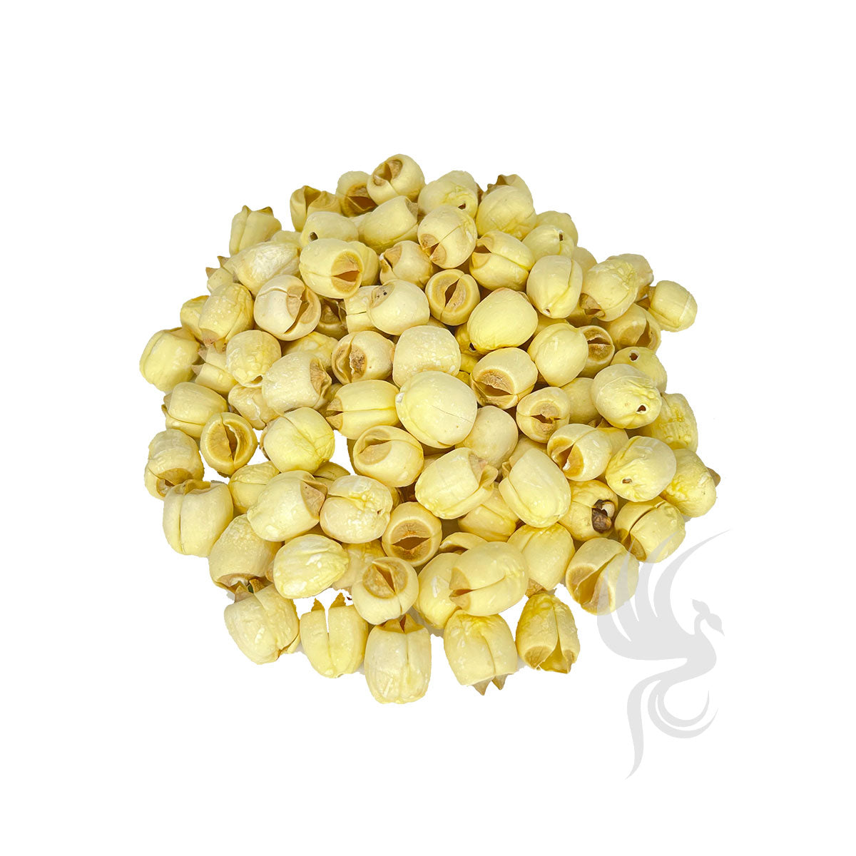 White Lotus Seeds | 白蓮子