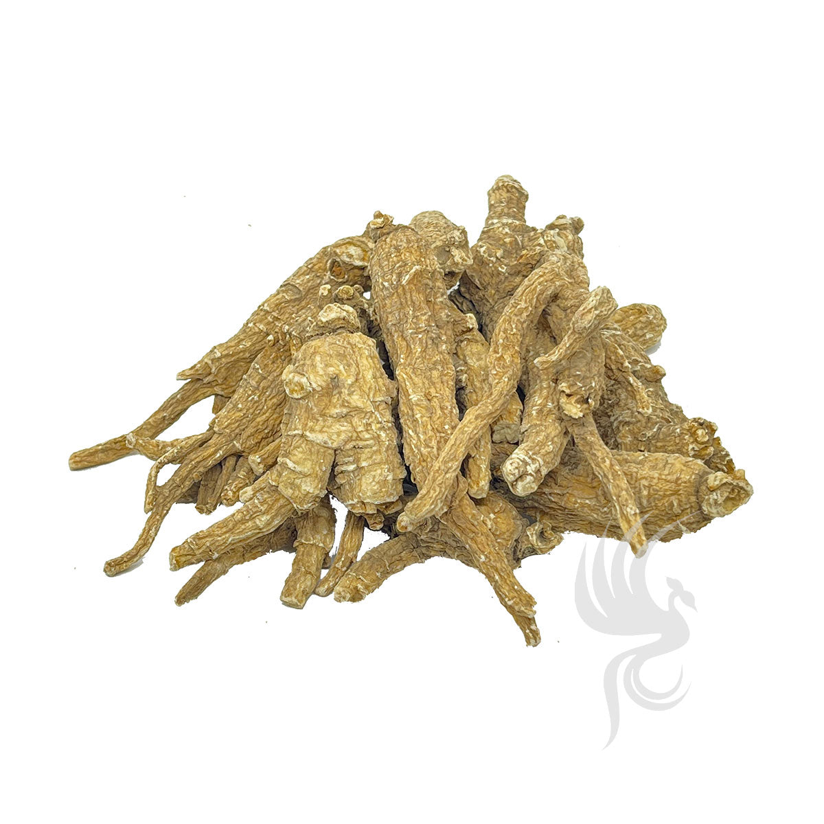 Wisconsin Ginseng | 威斯康星花旗参